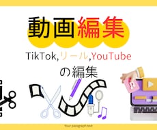 TikTokリールYouTube動画編集を行います イメージ1