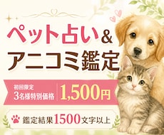 ペット占い＆アニコミ｜心の声をお伝えします アニマルコミュニケーターが占いを通してさらに深く読み解きます