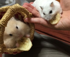    【返信一緒に考えます】恋愛相談お待ちしております イメージ1