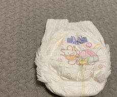トイトレのコツ教えます 0歳から始めるトイトレで、イヤイヤ期のトイトレを楽に
