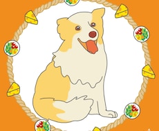 大切なペット、植物、ぬいぐるみ等のイラスト描きます イメージ1