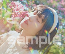 女性カメラマンが撮影代行致します イメージ1
