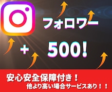 インスタグラムフォロワー500人増やします 〜激安価格！！保証あり！！！〜