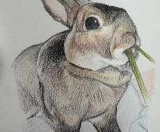 色鉛筆で描いたペットの肖像画を原画でお届けします イメージ1