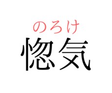 貴方の惚気聞きます イメージ1
