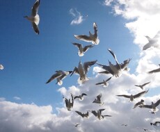 あなたの「今の心」と、つらい現状を解きます イメージ1