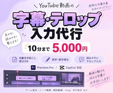 YouTube動画の字幕・テロップ入力代行します イメージ1