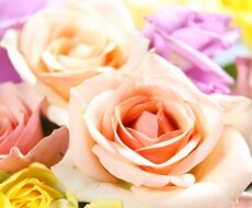 人生を軽やかに生きる♡サポートをしています コーチをつけて自発的に行動したい方へ
