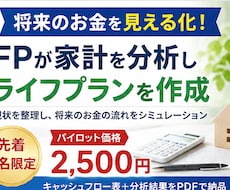 先着1名限定！FPがライフプランを作成します イメージ1