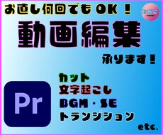 動画編集いたします 細かくご要望確認！お直し何回でもOK！ご相談だけでも！！