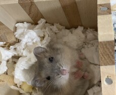 あなたの愚痴、悩み、なんてことないお話、聞きます イメージ1