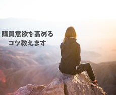 購買意欲を高めるコツ教えます 心理学をつかったサービスを売れやすくする方法