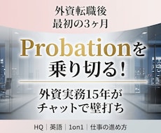 外資転職後の試用期間の立ち回り相談に乗ります イメージ1