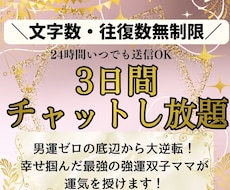 ３日間！双子ママがあなたのペースでチャットします イメージ1