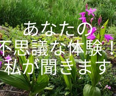 遭遇した不思議な体験！私がお話し聞きます イメージ1