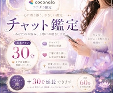 ３０分　チャットでリアルタイムに鑑定します イメージ1