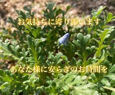 お気持ちお聞かせください。お待ちしております イメージ1