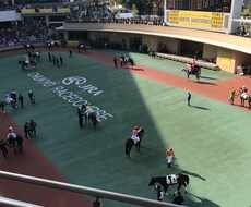 競馬予想します