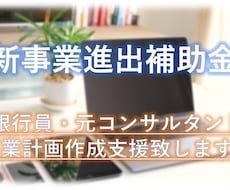 新事業進出補助金の事業計画を作成支援致します ～元銀行員・元コンサルが事業計画の作成支援を致します～