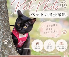 大切な家族の写真を出張撮影しますます いつもの表情や仕草を自然な雰囲気で写真に残します