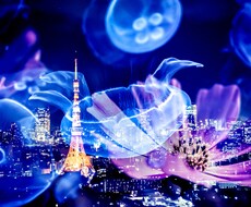 今！誰かと話したいという方お待ちしてます イメージ1