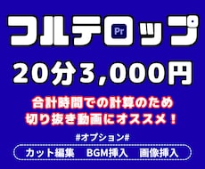 20分3,000円 | フルテロップ承ります クオリティに自信あり！細かな要望にも対応いたします！