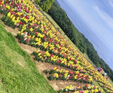 溜め込む貴方の心の支えになります イメージ1