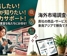 海外市場調査（台湾・東南アジア）いたします イメージ1