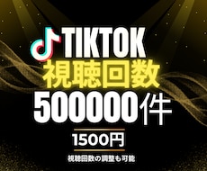 TikTokの再生回数を格安水準で増やします 500,000回再生増やします！#TikTok