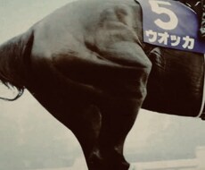 札幌2歳ステークス馬単予想します イメージ1