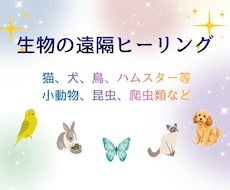 生物全般の遠隔ヒーリングを行います イメージ1