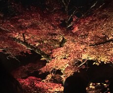 親身になって丁寧にお話をお伺いします イメージ1