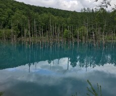 旅行プランを提案します イメージ1