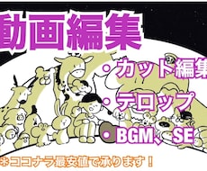 動画編集代行いたします イメージ1