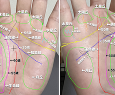 左右の手相から仕事.金運等、本格鑑定で読み解きます 左右の手相を比較して、本来の才能と現在の運命を本格鑑定！