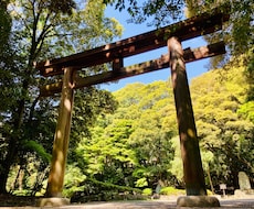 5分の電話で心の安全地帯になります ひとりで抱えた不安が、静かにほどけていく時間です