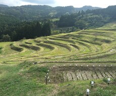 悩みに対してそっと寄り添います イメージ1