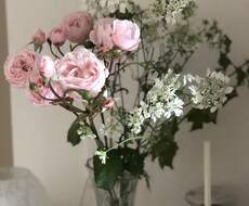 お時間のないあなた！勇気のないあなたへ。代行します イメージ1