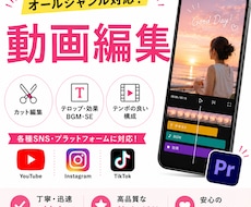 YouTubeやSNSの動画編集をします イメージ1