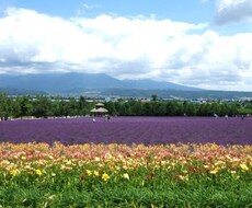 北の国から富良野市の正確な現在気温を調べます。 イメージ1