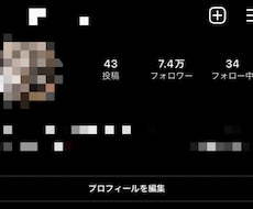 最高品質/正規垢！日本人フォロワーを増加させます イメージ1