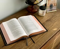 あなたにぴったりのビジネスアイデアご提案します イメージ1