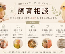 現役エキゾチックブリーダーが飼育相談に乗りますます どんな小さなお悩みでも、お気軽にご相談ください♪