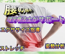 理学療法士が腰の痛みについてアドバイスします イメージ1