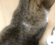 一緒に「ポジティブ」みつけます あなたの周りの小さな幸せみつけませんか？