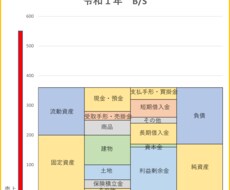 あなたの会社のB/Sを分かりやすいグラフにします イメージ1