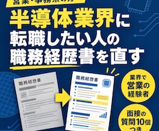 半導体業界へ転職したい方の職務経歴書を書き直します イメージ1