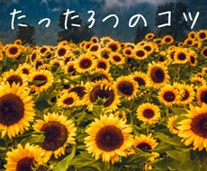 習慣化できる3つのコツを教えます イメージ1