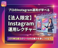 法人限定※プロがインスタ運用をレクチャーします 本物の調査・分析力を身に付けInstagramの効果を最大化