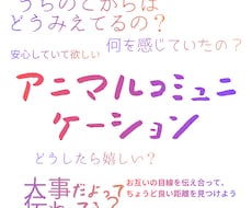 アニマルコミュニケーションを行います イメージ1